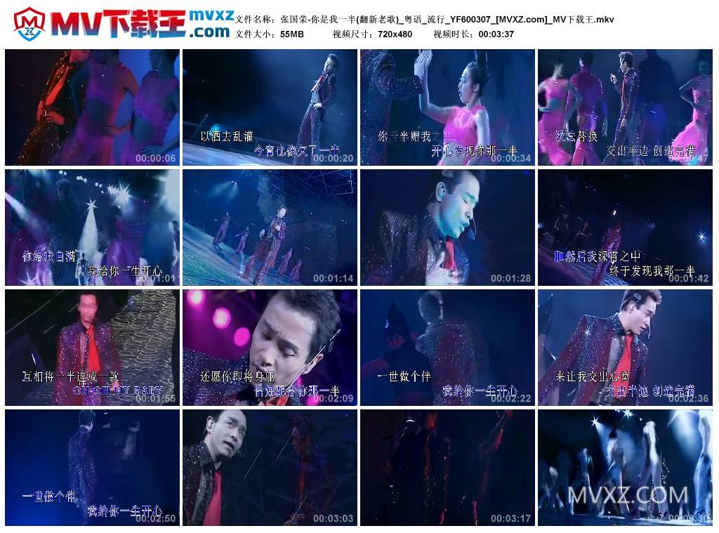 张国荣-你是我一半(翻新老歌)_粤语_流行_YF600307